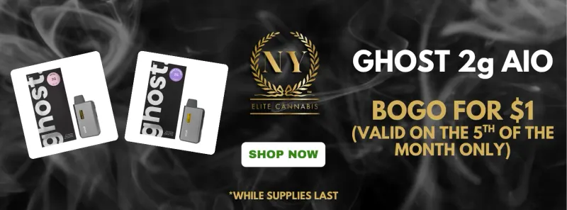 Ghost 2g all-in-one vape: buy one, get one for $1. Valid on the 5th of the month only, while supplies last.